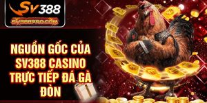 Nguồn gốc của SV388 casino trực tiếp đá gà đòn