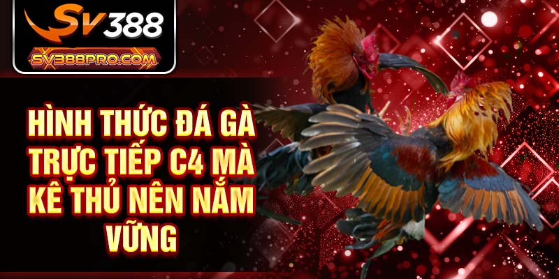 Hình thức đá gà trực tiếp C4 mà kê thủ nên nắm vững