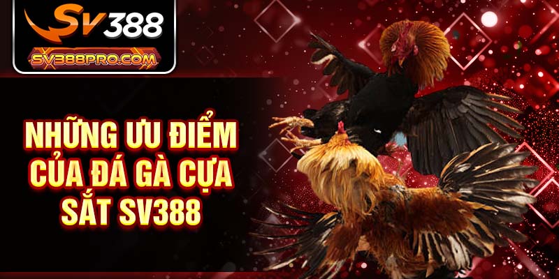 Những ưu điểm của đá gà cựa sắt SV388 