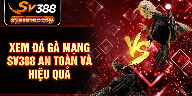 Xem đá gà mạng SV388 an toàn và hiệu quả