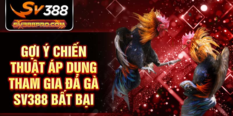 Gợi ý chiến thuật áp dụng tham gia đá gà SV388 bất bại