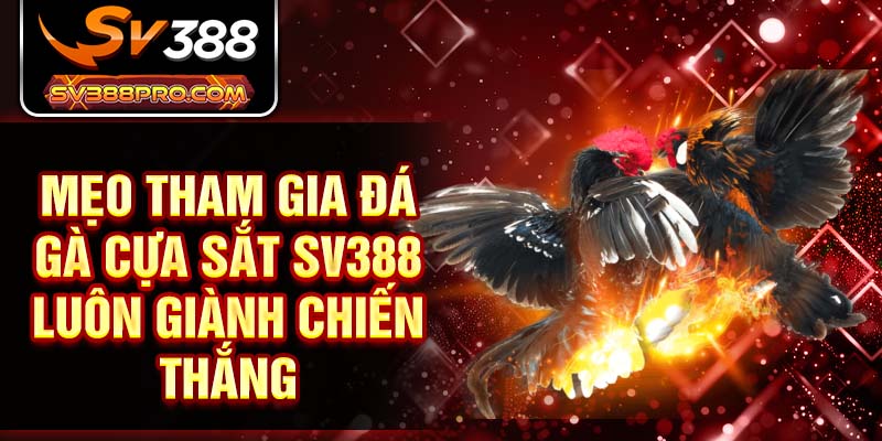 Mẹo tham gia đá gà cựa sắt SV388 luôn giành chiến thắng