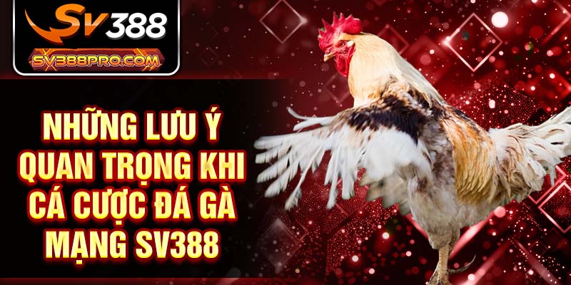 Những lưu ý quan trọng khi cá cược đá gà mạng SV388