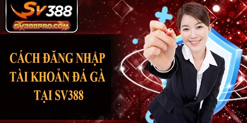 Cách đăng nhập tài khoản đá gà tại SV388 Cách đăng nhập tài khoản đá gà tại SV388