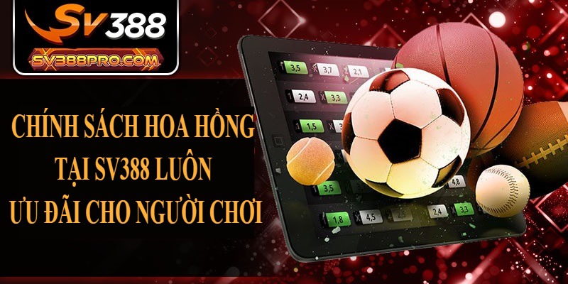 Chính sách hoa hồng tại SV388 luôn ưu đãi cho người chơi Chính sách hoa hồng tại SV388 luôn ưu đãi cho người chơi