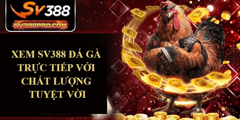 Xem SV388 đá gà trực tiếp với chất lượng tuyệt vời Xem SV388 đá gà trực tiếp với chất lượng tuyệt vời